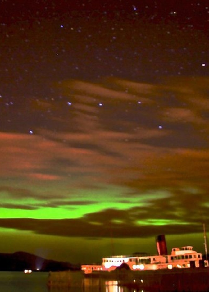 من منتزه غالواي فورست.. عالم من الرومنسية