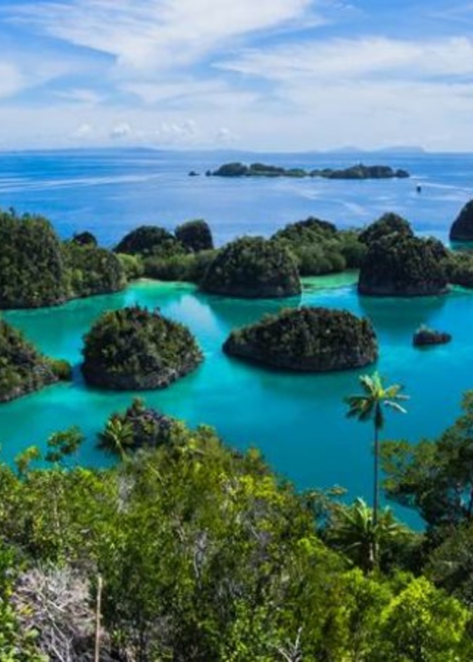 جمال الطبيعة في كومودو