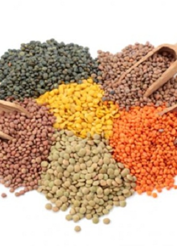 العدس من أهم أنواع البقوليات و أكثرها صحية