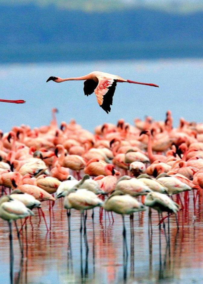 سحر الطبيعة في زنجبار