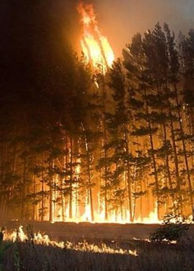 وضع المتهم الرئيسي قيد الإقامة الجبرية