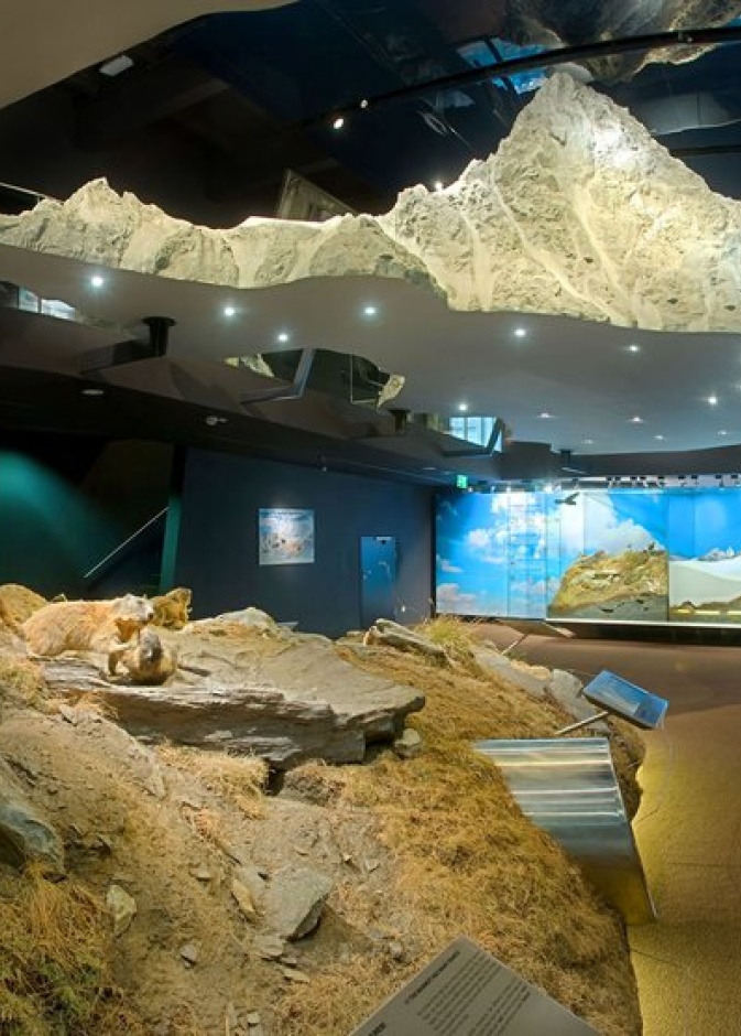 قلعة روزنبورغ