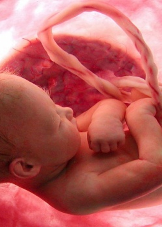 اسباب امراض قلب الاطفال اثناء الحمل هل يتم علاجها