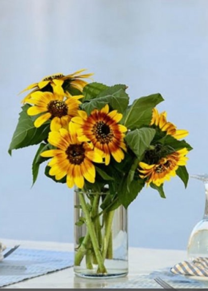 مطعم بلو ميث