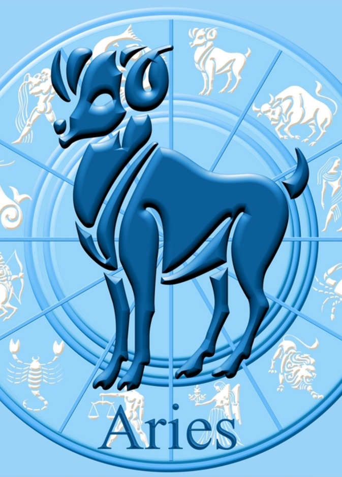 رار أو القيام بمغامرات غير محسوبة