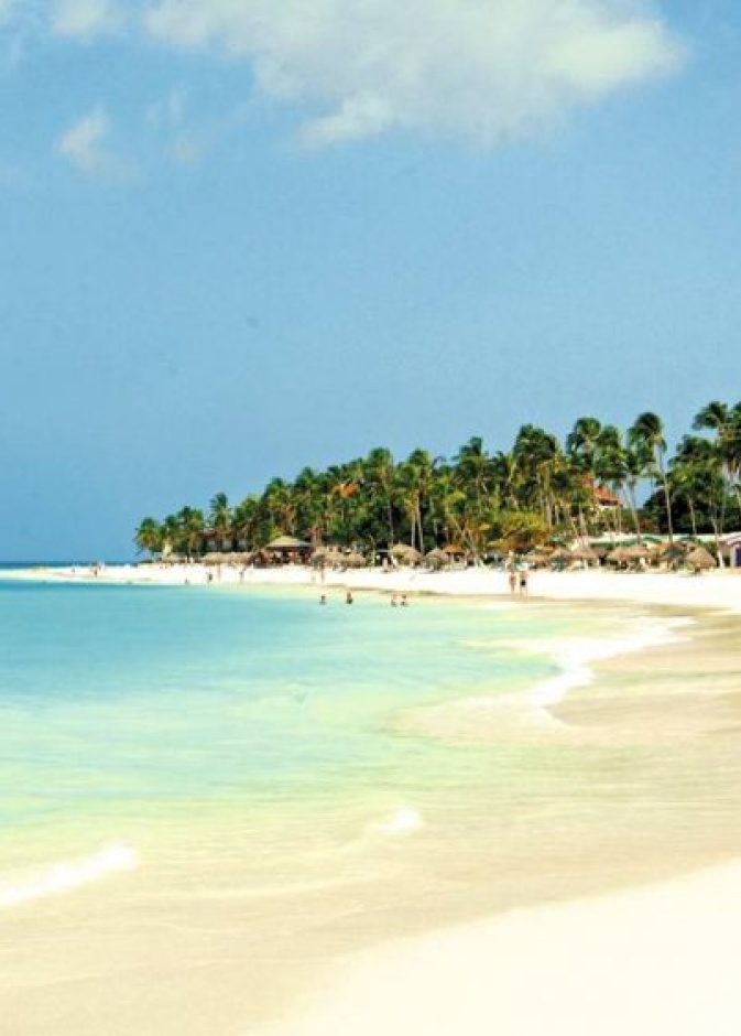 شاطئ غالاباغوس