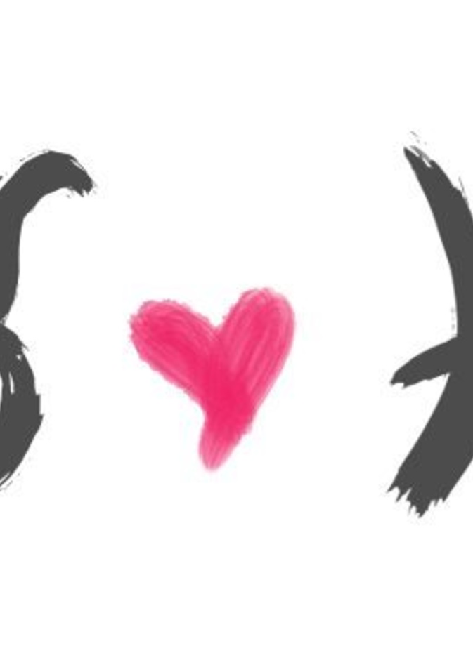 مواليد الثور والجدي يتفاهمان ويتوافقان جيداً سوياً