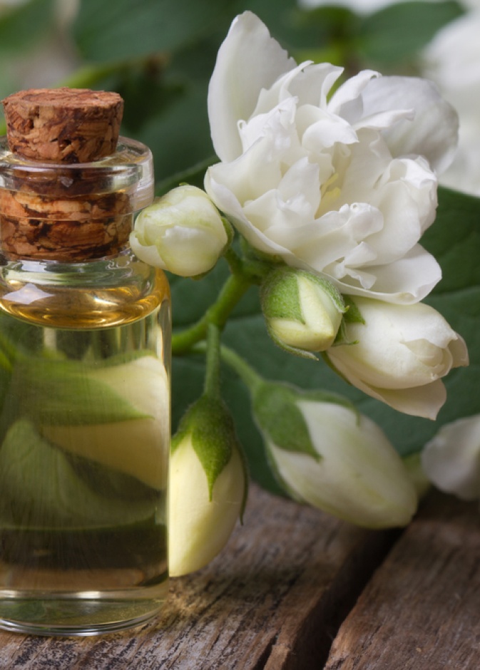 ما هي طريقة تصنيع عطر طبيعي من زهرة الياسمين بسهولة