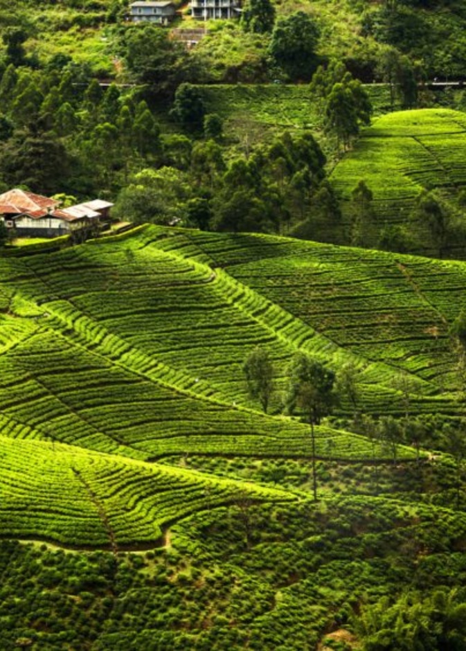  تعد واحدة من أفضل البلدان السياحية في منطقة جنوب آسيا