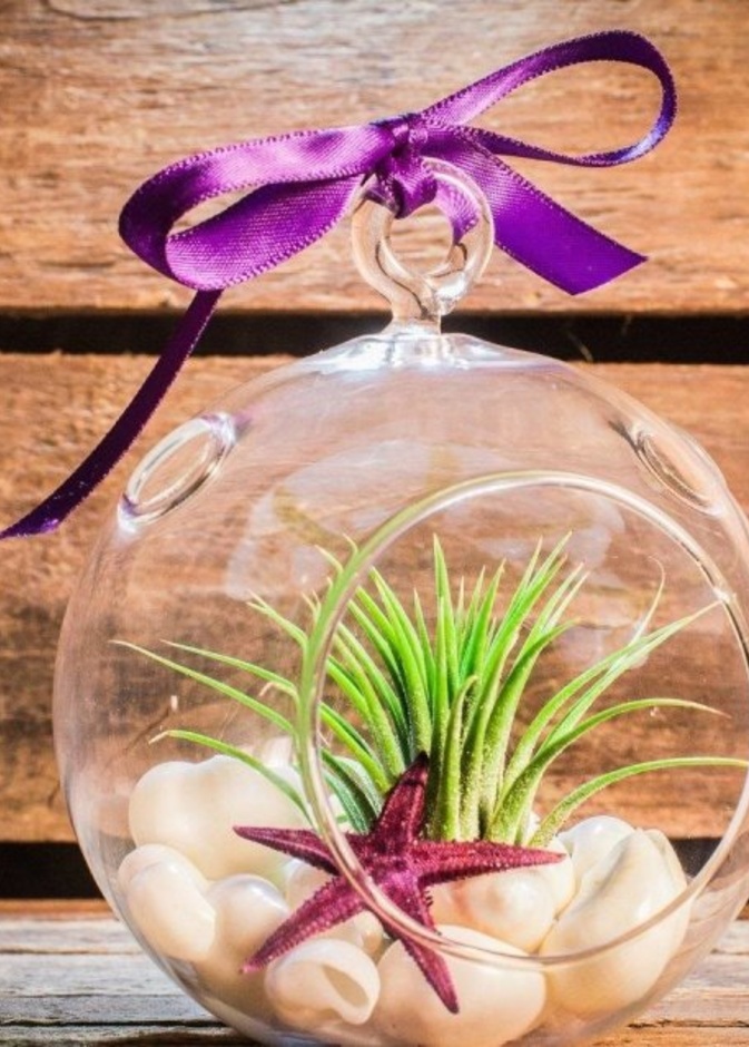 اكسسوارات زجاجية مطعمة بالقواقع