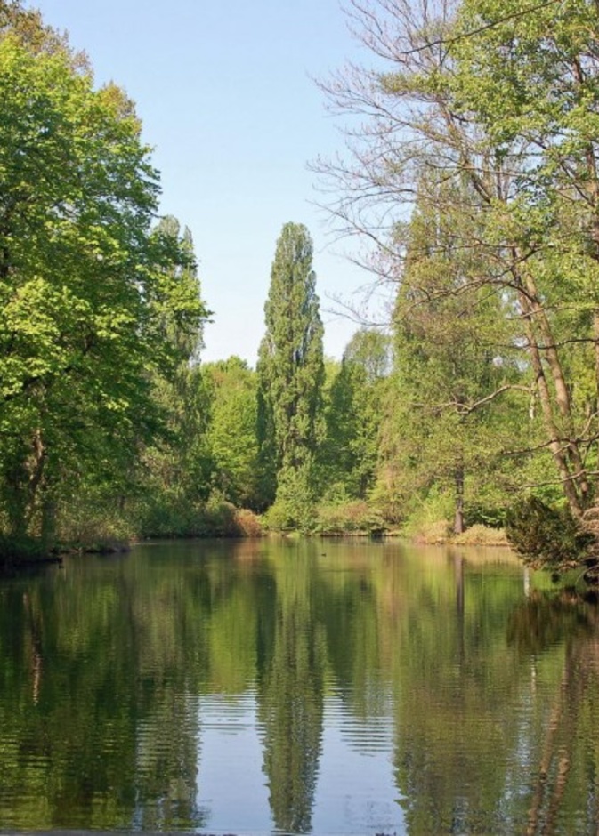 فصر شارلوتنبورغ