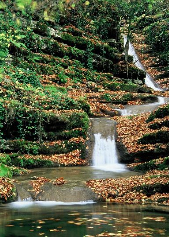 الطبيعة في سينوب