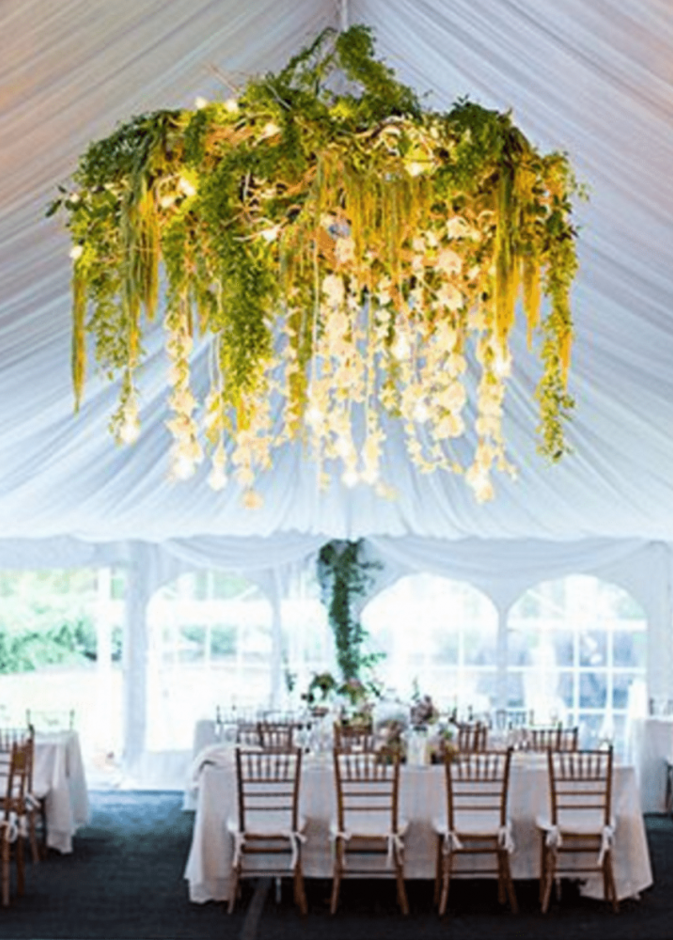 جمع ساحر بين الورود و الستائر لزينة سقف حفل الزفاف