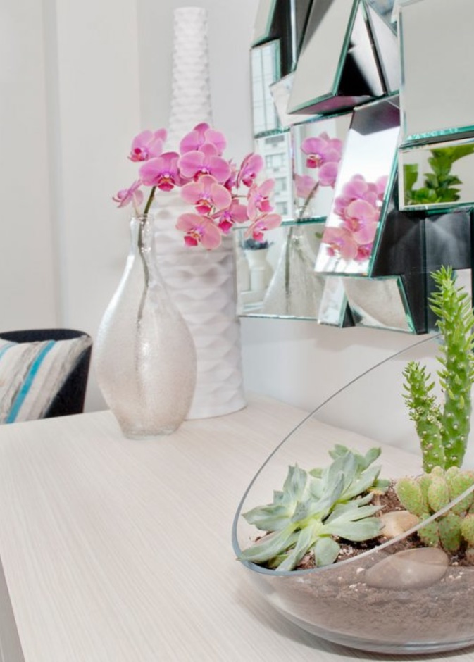 أحواض نباتات شوكية تستخدم في ديكور غرف تعشق الطبيعة