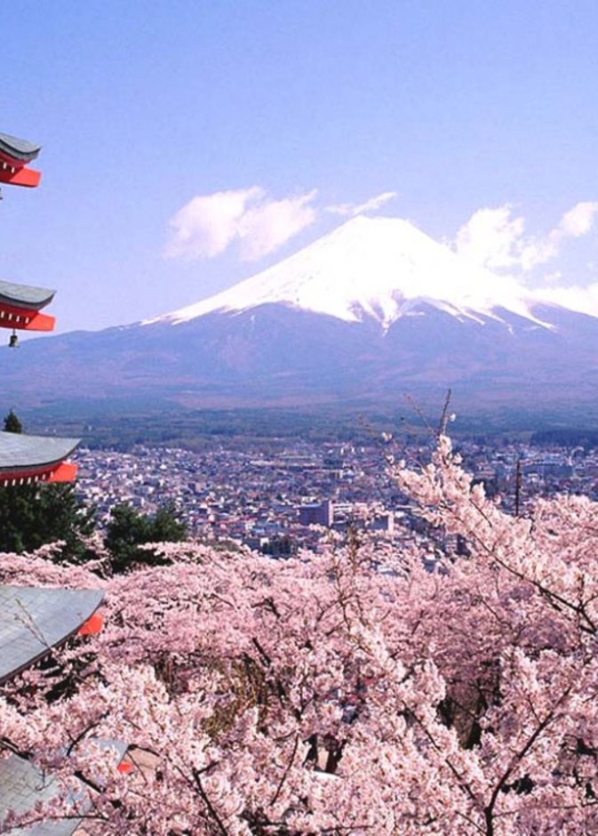 جزيرة هونشو