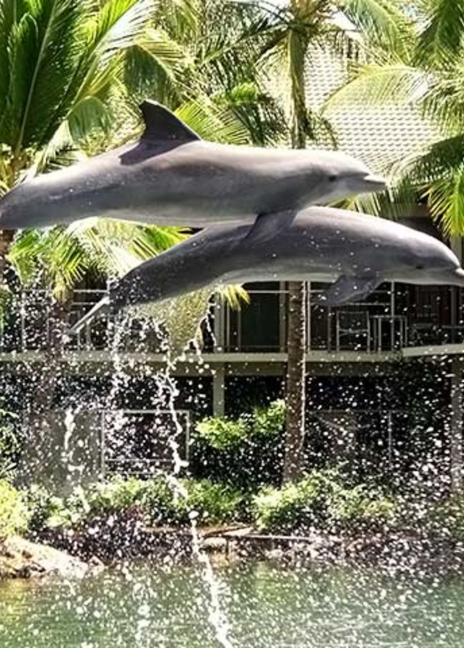 فندق و منتجع Kahala - هاواي أنشطة ترفيهية عديدة لشهر العسل