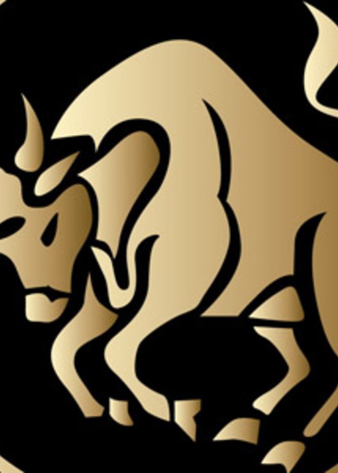 لا يحبّ المجازفة في حياته المهنية والعاطفية بل يفضّل اعتماد خطوات ثابتة وعملية