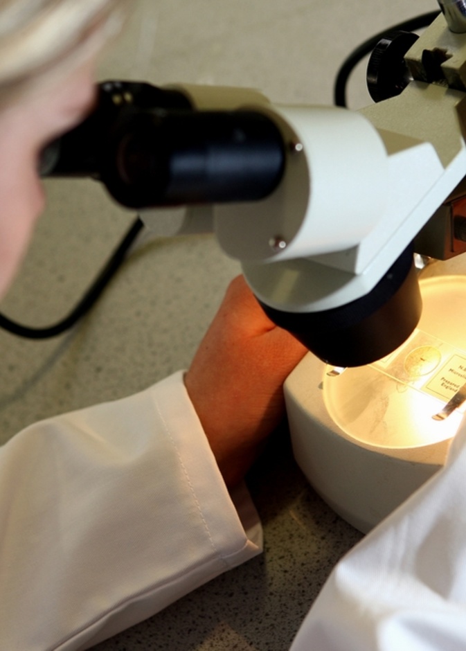 هل يساعد الذهب في مكافحة سرطان الرئة