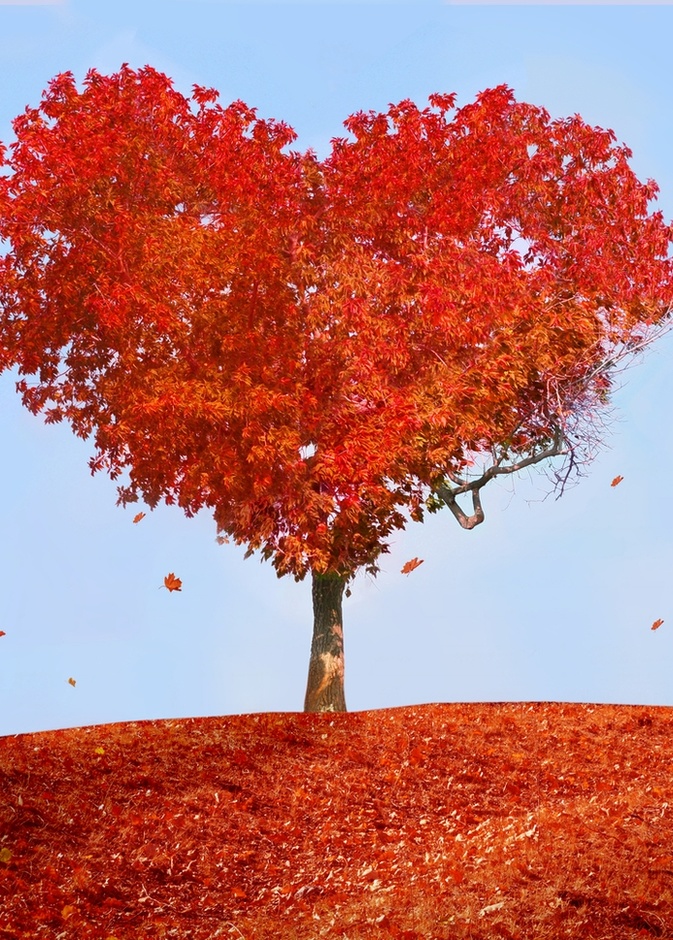 إحموا قلوبكم من مشاعر الكره