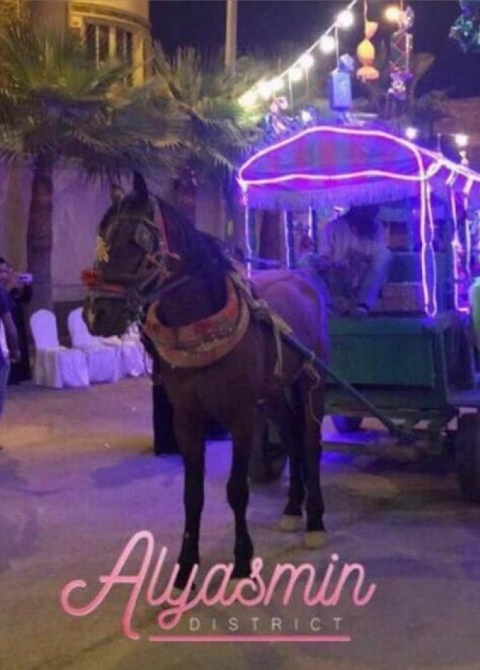 فرحة الاطفال بالاحتفالات