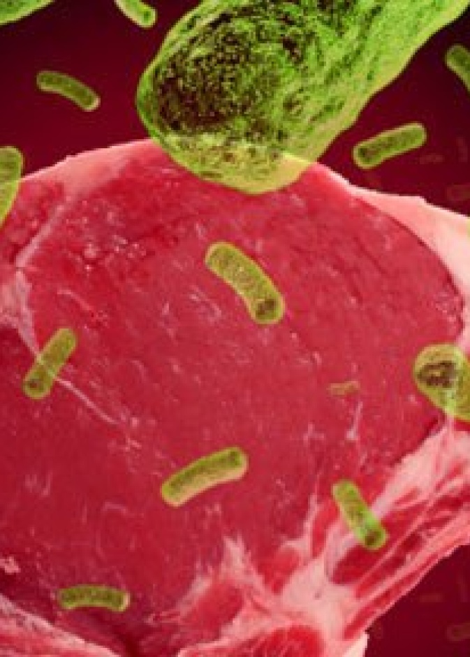 تجميد اللحوم