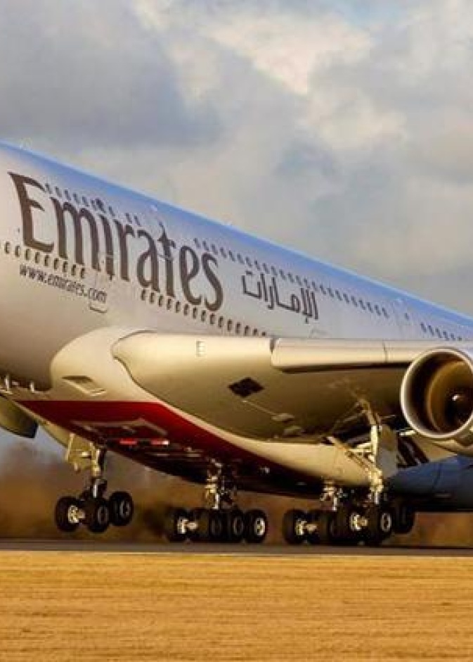 استئناف الرحلة بعد مطاردة الأفعى في مطار دبي