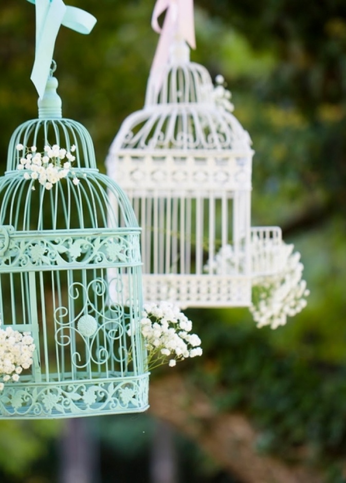  اقفاص العصافير... زينة مميزة لديكور زفافك