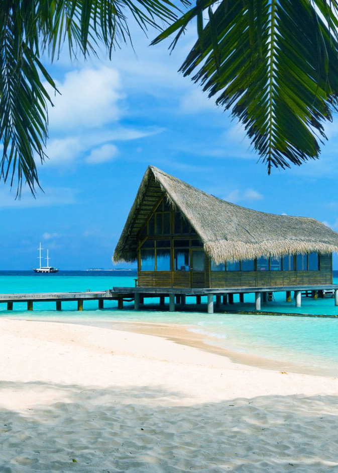 متعة الغوص في البهاما