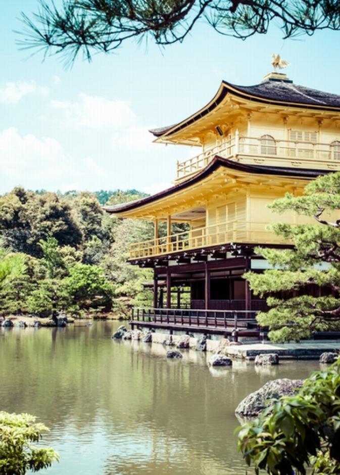 الجناح الذهبي الشهير في كيوتو