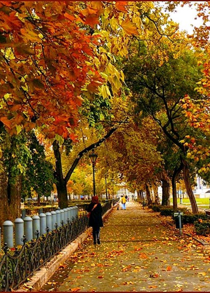الخريف في بودابست