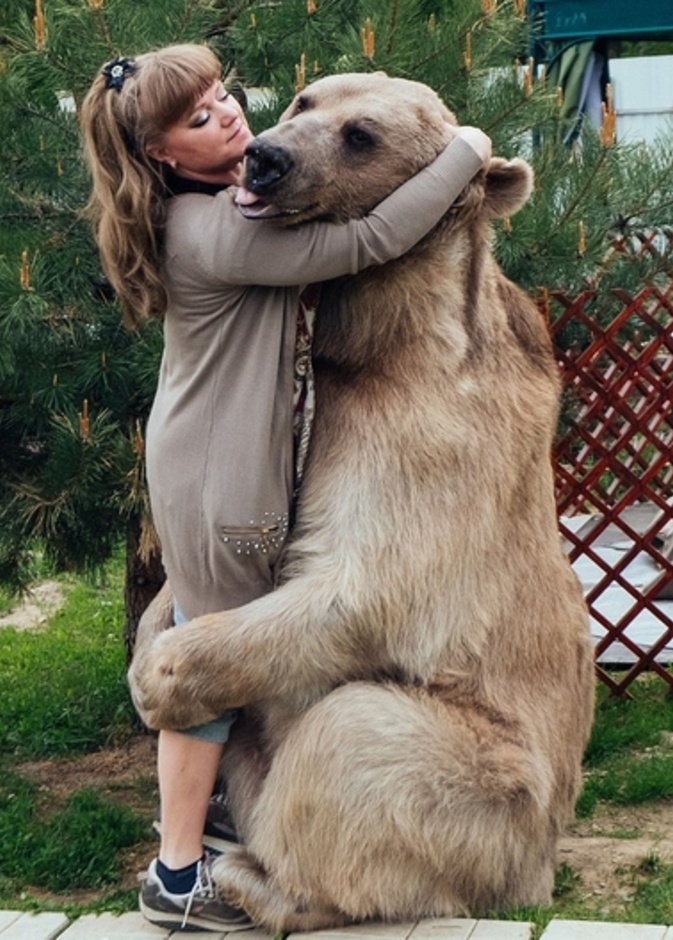 عائلة روسية مع دب ضخم يزن 300 كغ