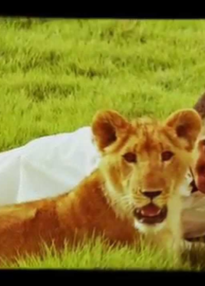 السعودي أسامة الدغيري يتحدث إلى الحيوانات