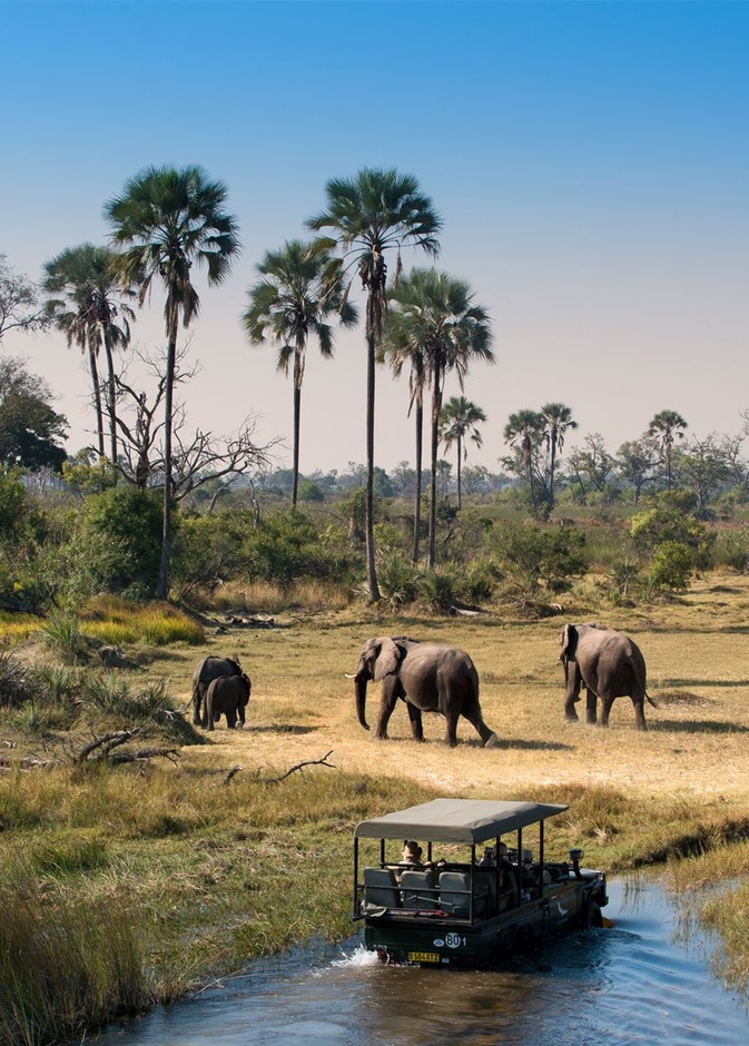 الغابات المفتوحة