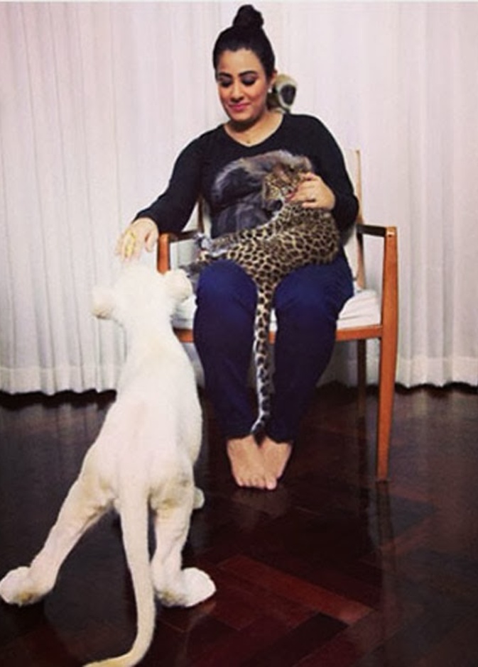 الفنانة الكويتية شهد والأسد