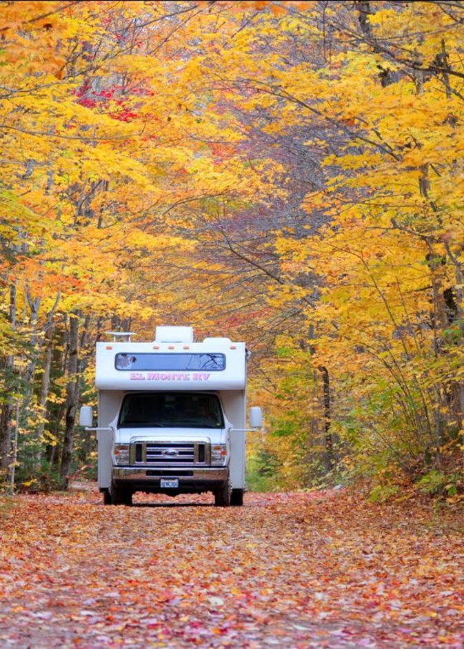 القيادة في الخريف ليست سهلة دائما