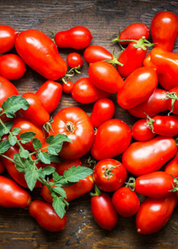 المحافظة على الطماطم بحالة طازجة اطول فترة