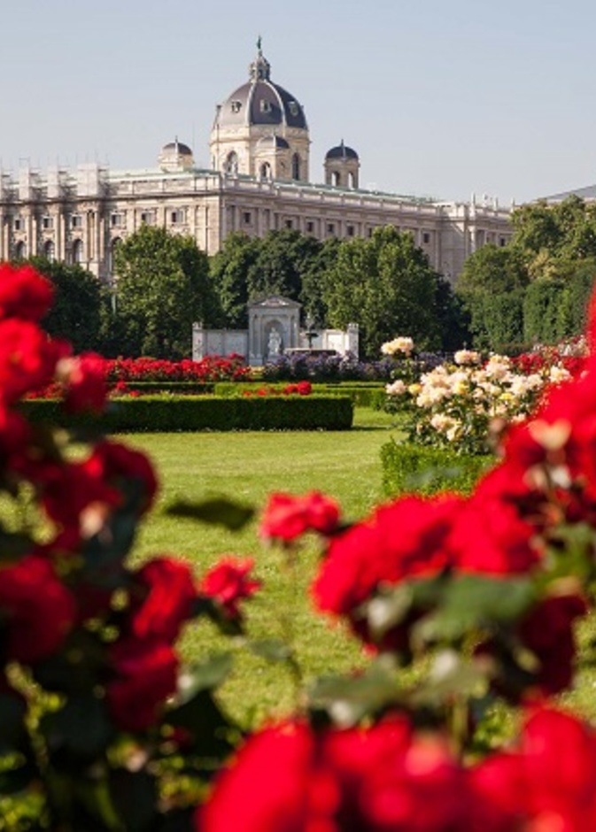 الورود والطبعية الخلابة هي سحر فيينا