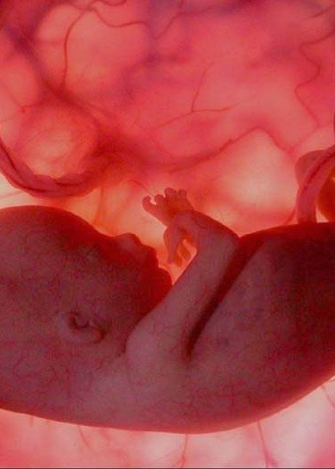 امراة تجهض نفسها وتدفن جنينها في حديقة في امارة الشارقة