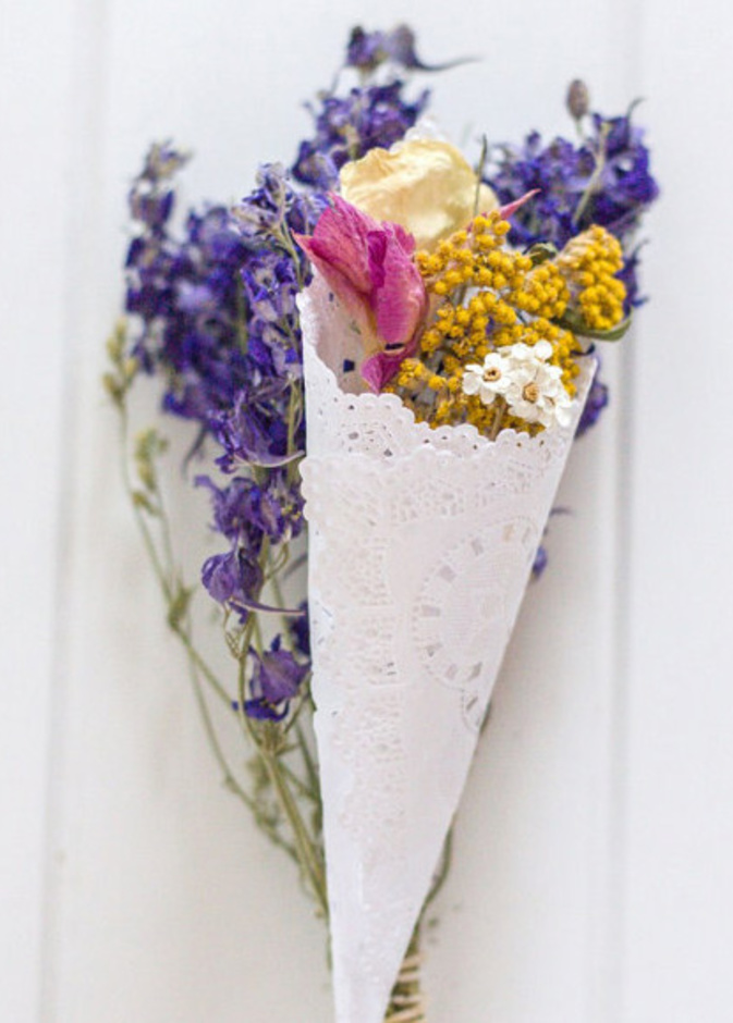 ازهار خريفية