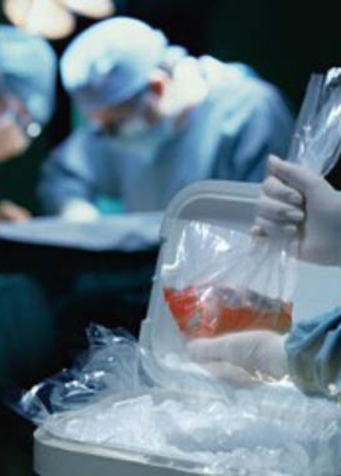 سعودية متوفاة دماغياً تنقذ حياة 5 مرضى 