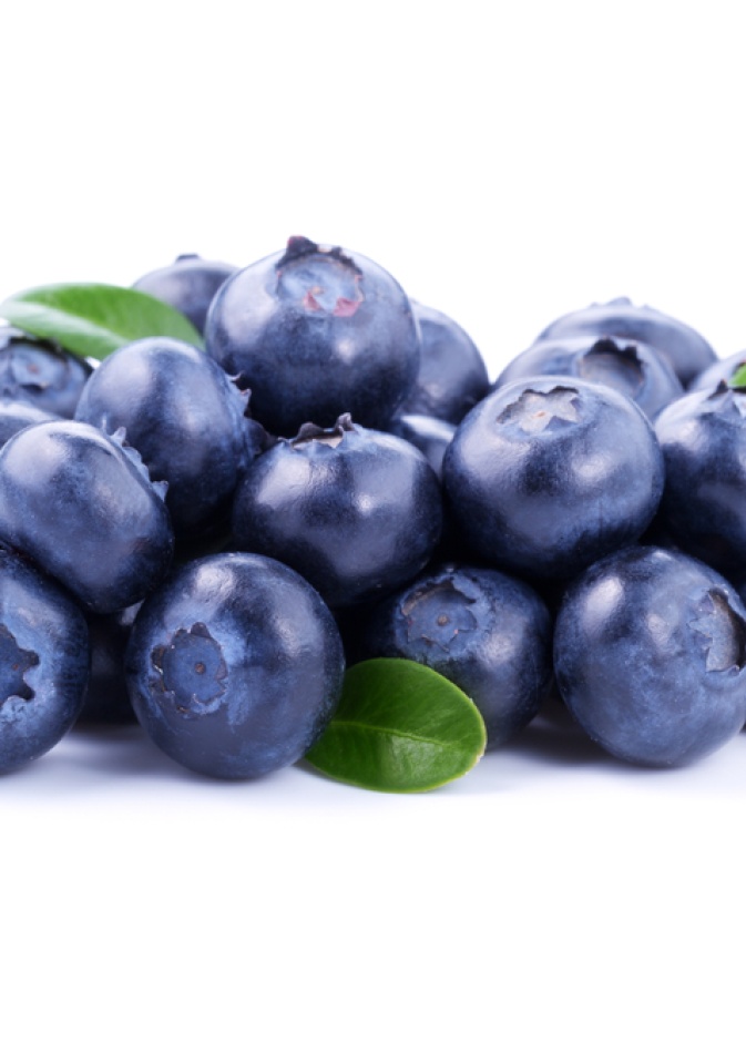  توت العليق.