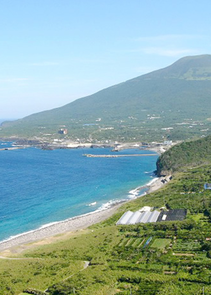 جزيرة سابتروبيكال – طوكيو Subtropical Island in Tokyo