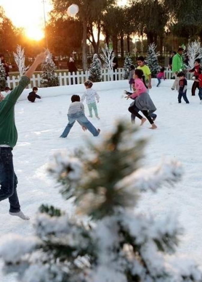 حديقة أم الإمارات