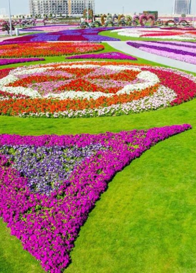 حديقة ال 45 مليون زهرة
