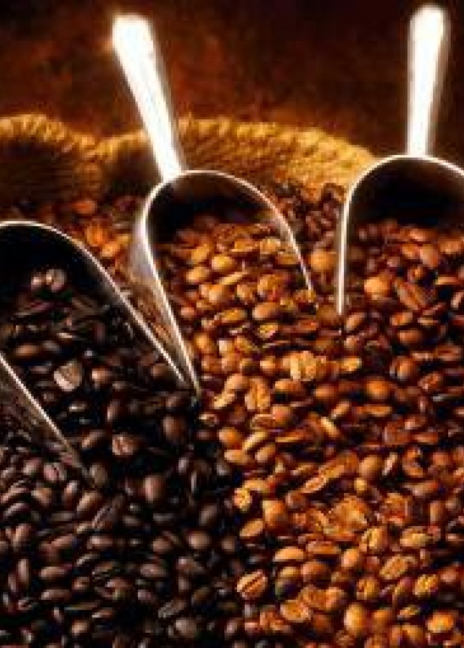 درجات تحميص القهوة