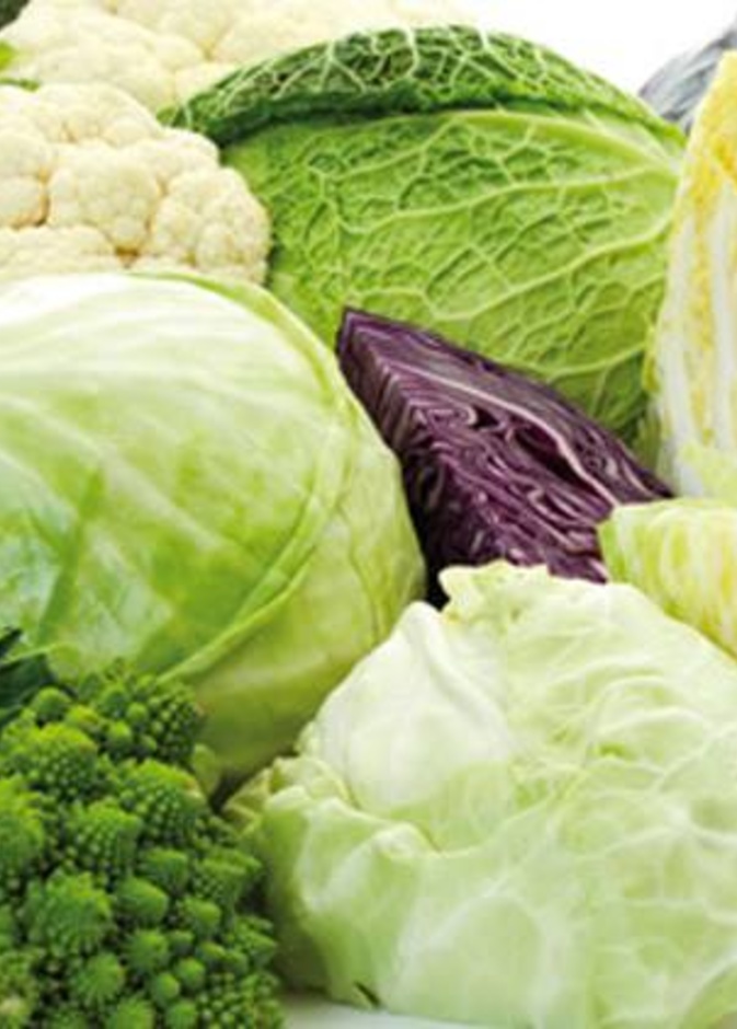 الخضروات الورقية تحتوي على مضادات أكسدة تعزز مناعة الجسم