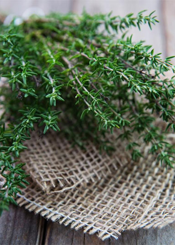  الزعتر غني بالفيتامينات و  المعادن التي تقوي البصر