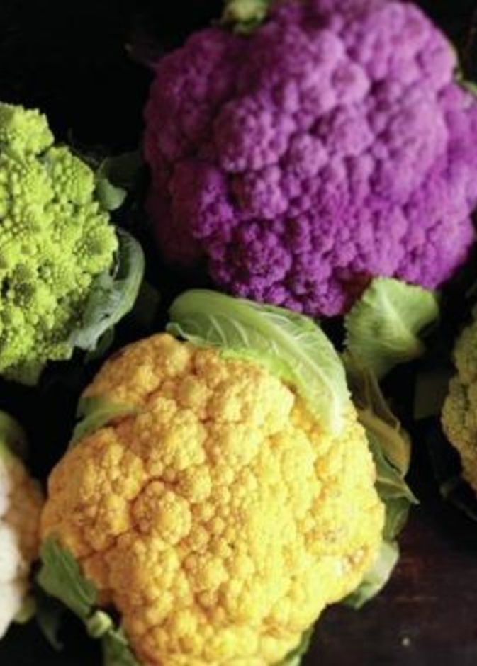 القرنبيط مهم لرفع مناعة الجسم