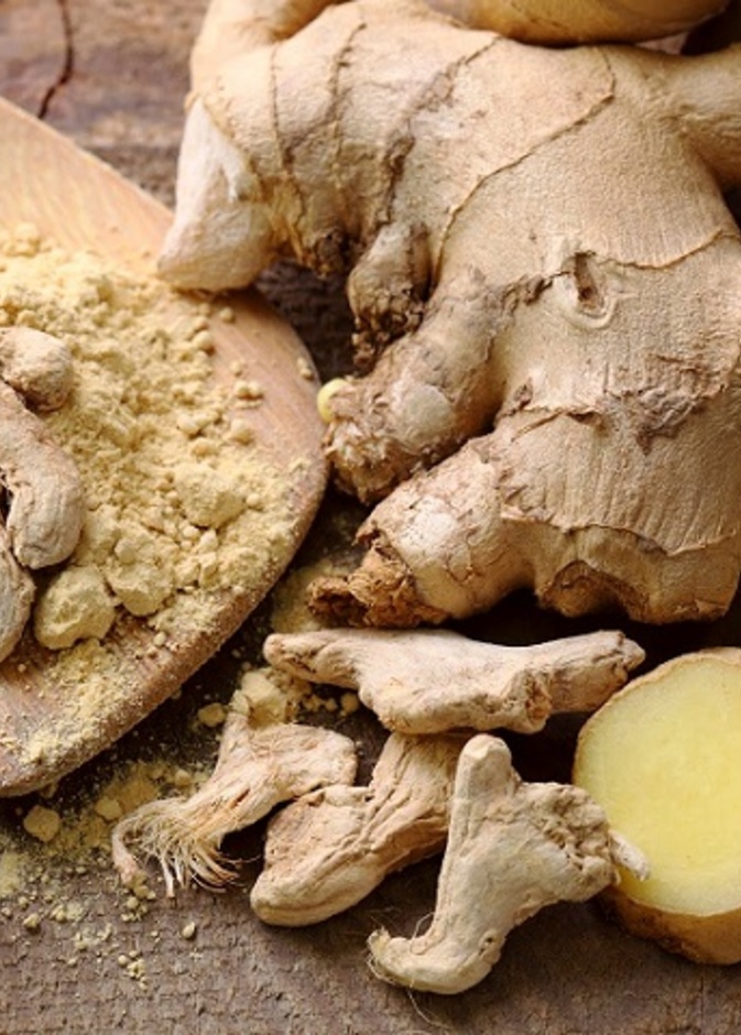 الزنجبيل ملك المضادات الحيويه الطبيعيه