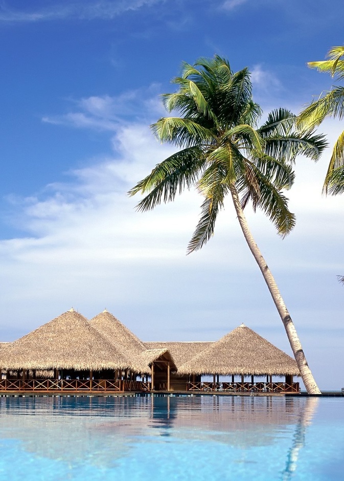 منتجع تاج اكسوتيكا